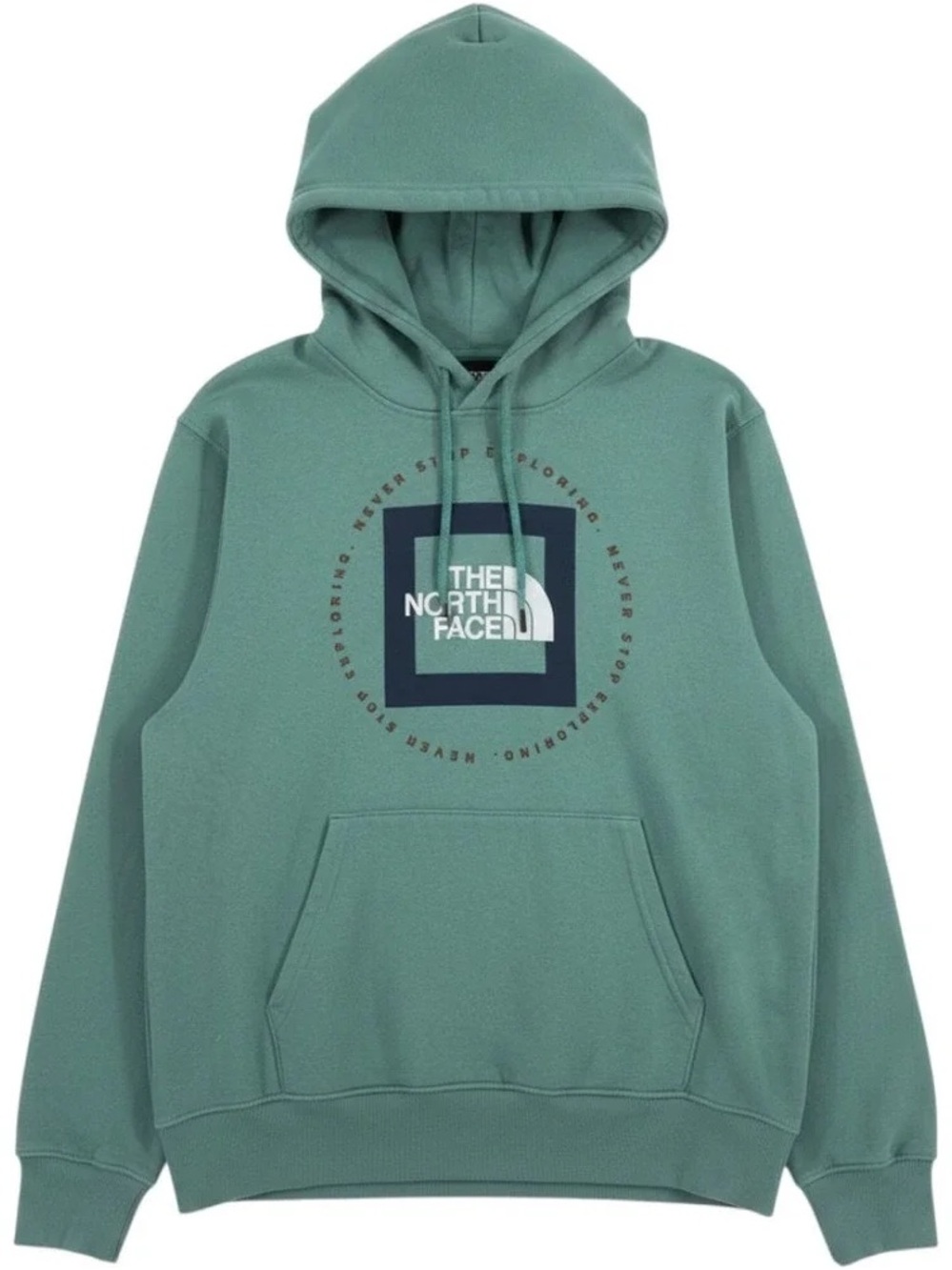North Face Geo NSE Logo Men’s Hoodie
